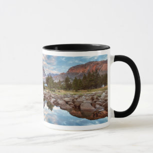 Tasse États-Unis, Californie, Forêt nationale d'Inyo 15