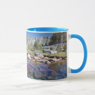 Tasse États-Unis, Californie, Forêt nationale d'Inyo 4