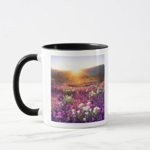 Tasse États-Unis, Californie, Parc d'État du désert d'An
