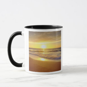 Tasse États-Unis, Californie, San Diego. La Jolla Shores