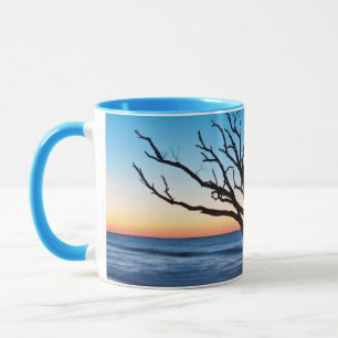 Tasse États-Unis, Caroline du Sud, île d'Edisto, baie 