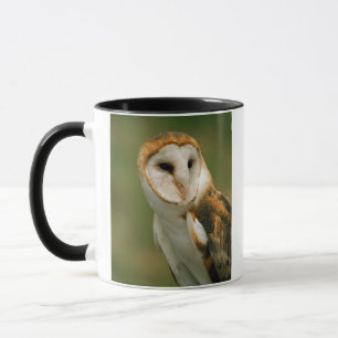 Tasse États-Unis, Colorado, Broomfield. Effraie des cloc