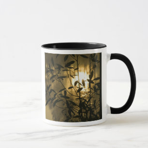 Tasse États-Unis, Géorgie, Callaway Gardens, Lever du so
