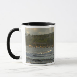 Tasse États-Unis, Hawaï, Kauai, côte sud-ouest, près de