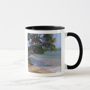 Tasse États-Unis, Hawaï, Kauai, paysage de plage. RF)
