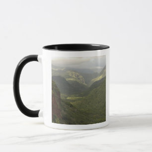 Tasse États-Unis, Hawaï, Kauai, vue sur le canyon. (RF)