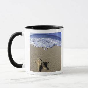 Tasse États-Unis, Hawaï, Maui, Makena Beach, Étoile de m