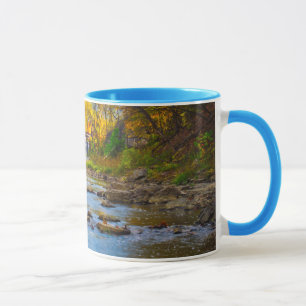 Tasse États-Unis, Indiana. Cataract Falls State Recreati