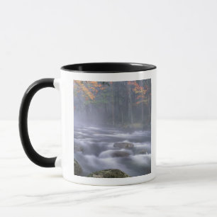 Tasse États-Unis, New York, Adirondacks, Big Moose River