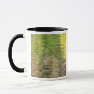 Tasse États-Unis, New York, Adirondacks, reflets dans l'