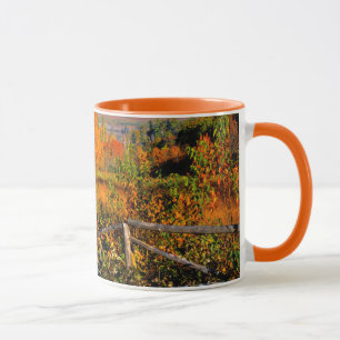 Tasse États-Unis, Nouvelle-Angleterre, New Hampshire, C