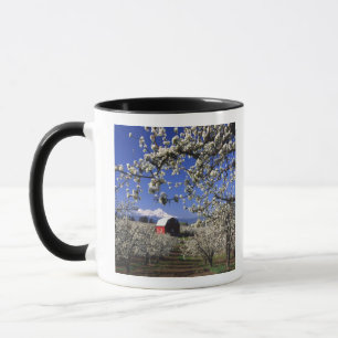 Tasse États-Unis, Oregon, Hood River Valley, verger de p
