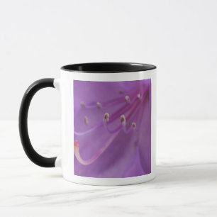 Tasse États-Unis, Oregon, Portland. Gros plan d'une