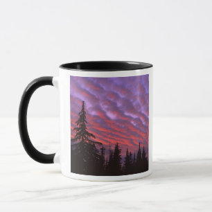 Tasse États-Unis, Oregon, Three Sisters Wilderness, Vivi