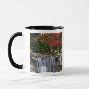 Tasse États-Unis, Redmond, Washington. Couleur d'automne