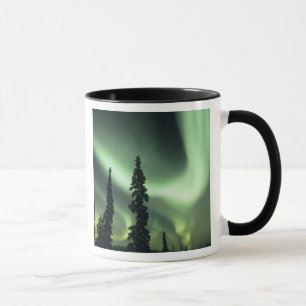 Tasse États-Unis, région de Fairbanks, centre de l'Alask