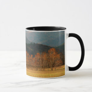 Tasse États-Unis, Tennessee. Cades Cove dans Smoky Mount