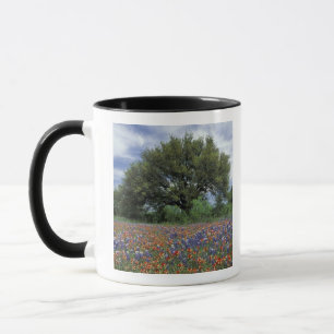 Tasse États-Unis, Texas, Marble Falls Paintbrush et