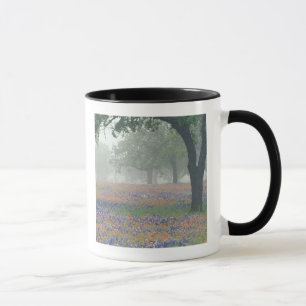 Tasse États-Unis, Texas. Pinceau texan et bleuets
