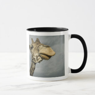 Tasse Etats-Unis, Texas, Réserve faunique de la Rim Foss
