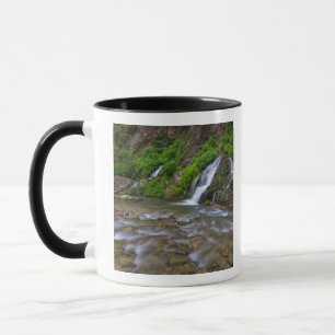 Tasse États-Unis, Utah, Zion National Park.  Big Spring