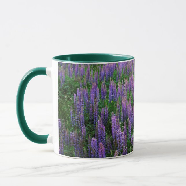 Tasse États-Unis, Washington, Comté de Clallam, Lupine (Gauche)