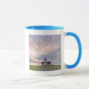 Tasse États-Unis, Washington, îles San Juan. Coucher de 
