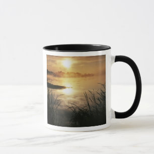 Tasse États-Unis, Washington, Lopez Island, Brouillard m