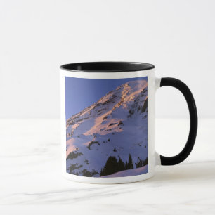Tasse États-Unis, Washington, Parc national du Mont Rai