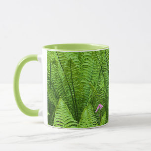 Tasse États-Unis, Washington, Seattle, Washington Park