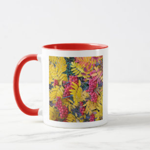 Tasse États-Unis, Washington, Sorbier occidental de mont