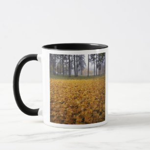Tasse États-Unis, Washington, Spokane, Manito Park, aut