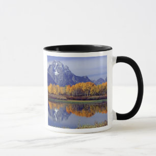 Tasse États-Unis, Wyoming, Grand Teton National Park. Mt