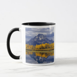 Tasse États-Unis, Wyoming, Grand Teton NP. Contre les