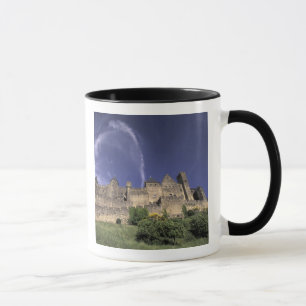 Tasse Europe, France, Languedoc; Aude; Carcassonne,