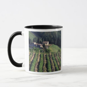 Tasse Europe, Italie, Toscane. Villa panoramique chypre.