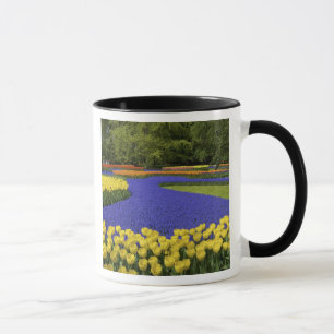 Tasse Europe, Pays-Bas, Hollande, Lisse, Keukenhof