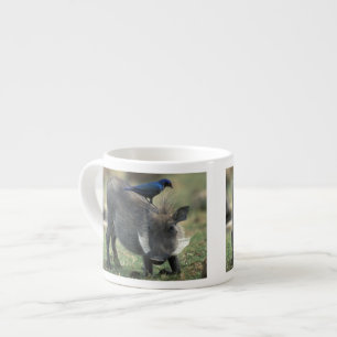 Tasse Expresso Afrique du Sud, Pilanesburg GR, Warthog