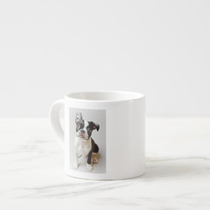 Tasse Expresso Boston Terrier