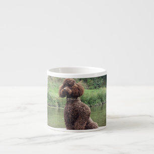 Tasse Expresso caniche au chocolat assise.png