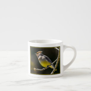 Tasse Expresso Cèdre cire Songbird Photo originale Oiseau sauvage