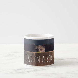Tasse Expresso Chat Dans Une Boîte