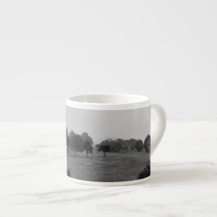 Tasse Expresso De beaux arbres et la nature dans le brouillard
