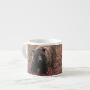 Tasse Expresso États-Unis, Alaska, Parc national de Denali. Ours