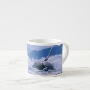 Tasse Expresso États-Unis, Alaska, Tongass National Forest, Bossu