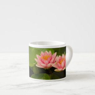 Tasse Expresso États-Unis, DC, Washington, Kenilworth 4