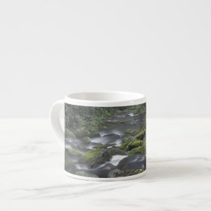 Tasse Expresso États-Unis, Tennessee, Great Smoky Mountains Nati