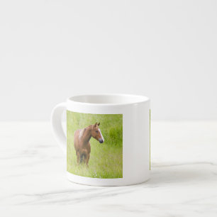 Tasse Expresso États-Unis, Washington, Cheval dans un champ print