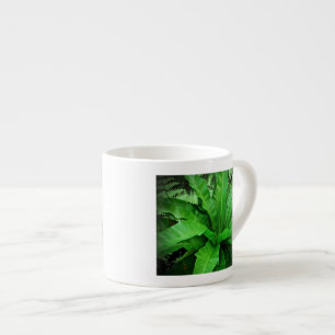 Tasse Expresso Ferne de nid d'oiseaux