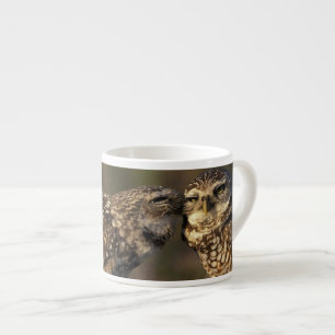 Tasse Expresso Floride, Fort Myers. Chouette brulante liaison pai